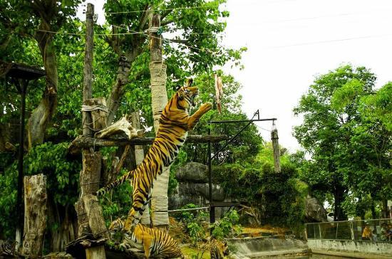 Songkhla Zoo
